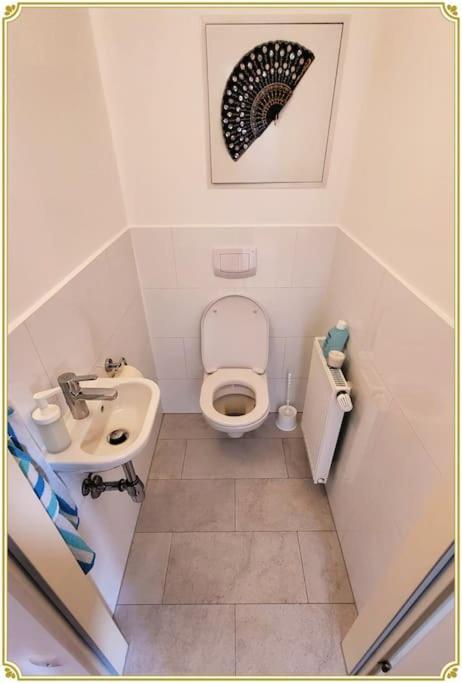 Apartamento Calling